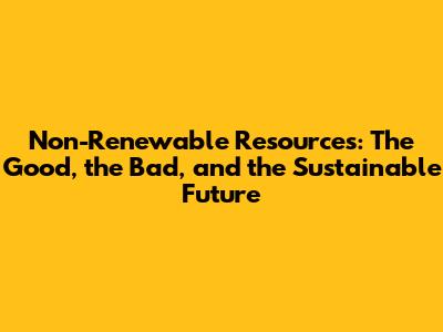 Non-Renewable Resources: The Good, the Bad, and the Sustainable Future
