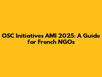 OSC Initiatives AMI 2025: A Guide for French NGOs