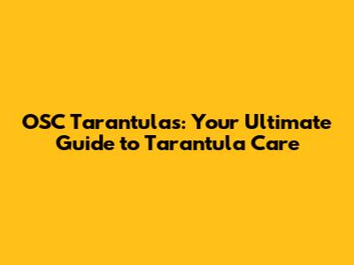 OSC Tarantulas: Your Ultimate Guide to Tarantula Care
