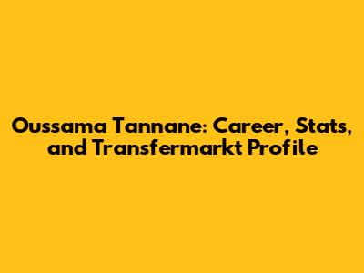 Oussama Tannane: Career, Stats, and Transfermarkt Profile