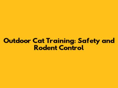 Outdoor Cat Training: Safety and Rodent Control
