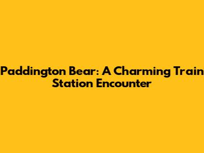 Paddington Bear: A Charming Train Station Encounter