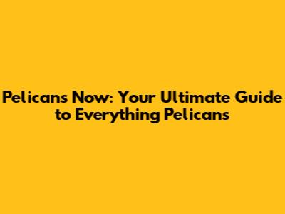 Pelicans Now: Your Ultimate Guide to Everything Pelicans