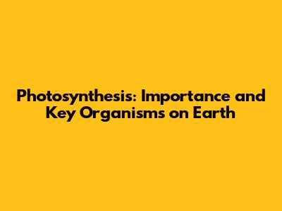Photosynthesis: Importance and Key Organisms on Earth