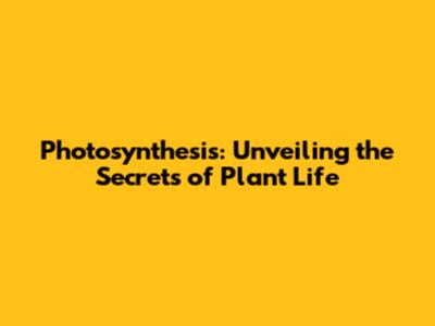 Photosynthesis: Unveiling the Secrets of Plant Life
