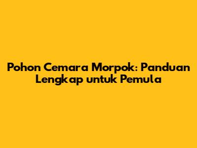 Pohon Cemara Morpok: Panduan Lengkap untuk Pemula