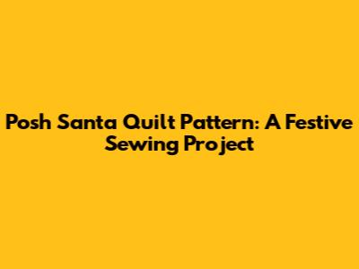 Posh Santa Quilt Pattern: A Festive Sewing Project