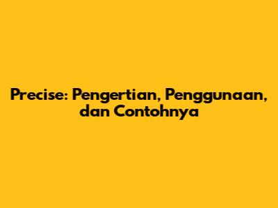 Precise: Pengertian, Penggunaan, dan Contohnya