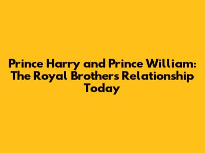 Prince Harry and Prince William: The Royal Brothers' Relationship Today