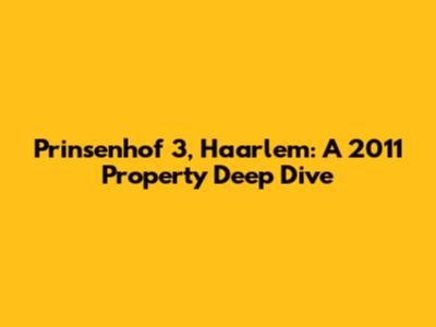 Prinsenhof 3, Haarlem: A 2011 Property Deep Dive