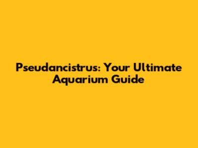 Pseudancistrus: Your Ultimate Aquarium Guide
