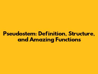 Pseudostem: Definition, Structure, and Amazing Functions