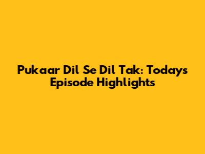 Pukaar Dil Se Dil Tak: Today's Episode Highlights