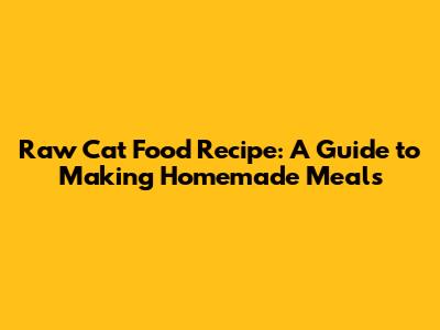 Raw Cat Food Recipe: A Guide to Making Homemade Meals