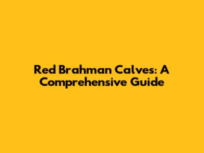 Red Brahman Calves: A Comprehensive Guide