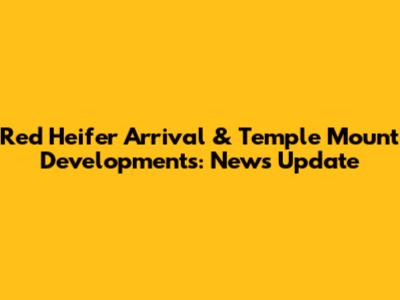 Red Heifer Arrival & Temple Mount Developments: News Update