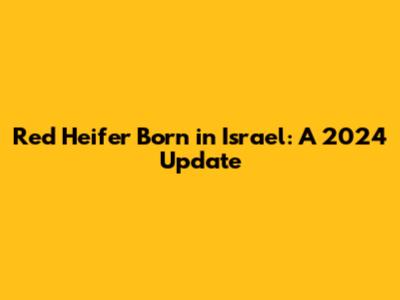 Red Heifer Born in Israel: A 2024 Update