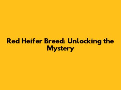 Red Heifer Breed: Unlocking the Mystery