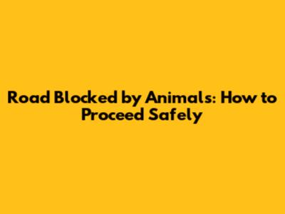 Road Blocked by Animals: How to Proceed Safely