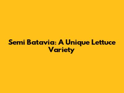 Semi Batavia: A Unique Lettuce Variety