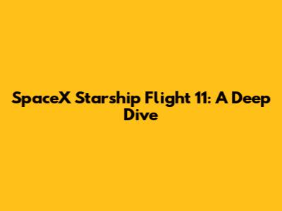 SpaceX Starship Flight 11: A Deep Dive