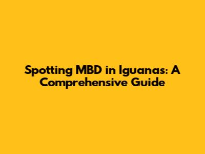 Spotting MBD in Iguanas: A Comprehensive Guide