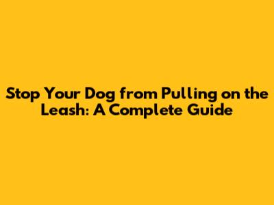 Stop Your Dog from Pulling on the Leash: A Complete Guide