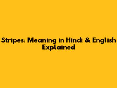 Stripes: Meaning in Hindi & English Explained