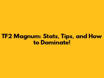TF2 Magnum: Stats, Tips, and How to Dominate!