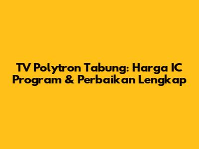 TV Polytron Tabung: Harga IC Program & Perbaikan Lengkap