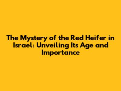 The Mystery of the Red Heifer in Israel: Unveiling Its Age and Importance
