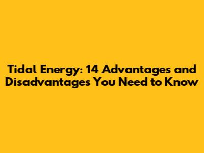 Tidal Energy: 14 Advantages and Disadvantages You Need to Know