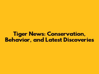 Tiger News: Conservation, Behavior, and Latest Discoveries