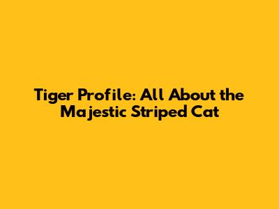 Tiger Profile: All About the Majestic Striped Cat