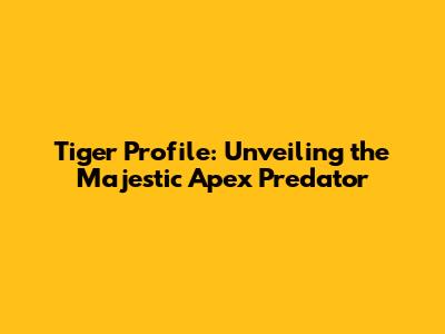 Tiger Profile: Unveiling the Majestic Apex Predator