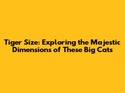 Tiger Size: Exploring the Majestic Dimensions of These Big Cats