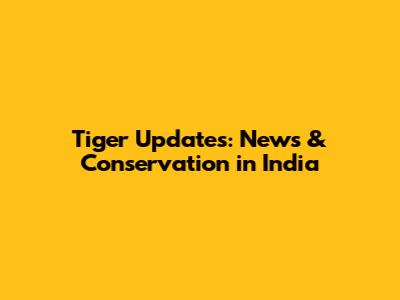 Tiger Updates: News & Conservation in India