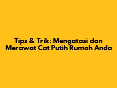 Tips & Trik: Mengatasi dan Merawat Cat Putih Rumah Anda