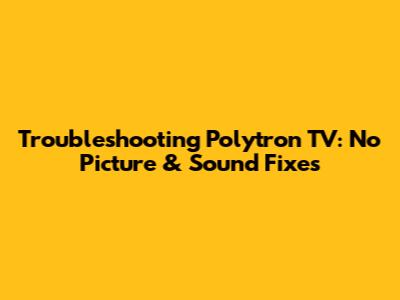 Troubleshooting Polytron TV: No Picture & Sound Fixes
