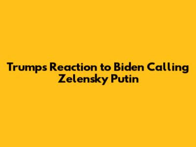 Trump's Reaction to Biden Calling Zelensky 'Putin'