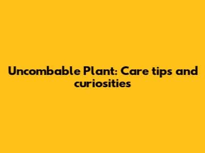 Uncombable Plant: Care tips and curiosities