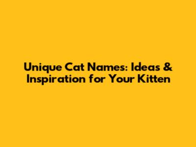 Unique Cat Names: Ideas & Inspiration for Your Kitten