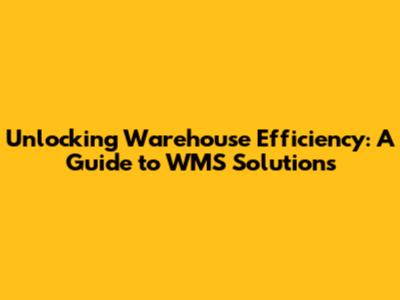 Unlocking Warehouse Efficiency: A Guide to WMS Solutions