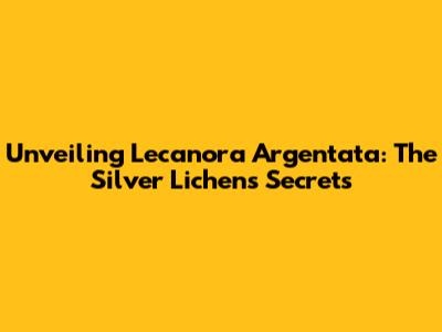 Unveiling Lecanora Argentata: The Silver Lichen's Secrets
