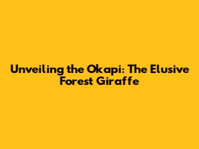 Unveiling the Okapi: The Elusive Forest Giraffe