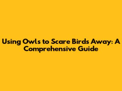 Using Owls to Scare Birds Away: A Comprehensive Guide
