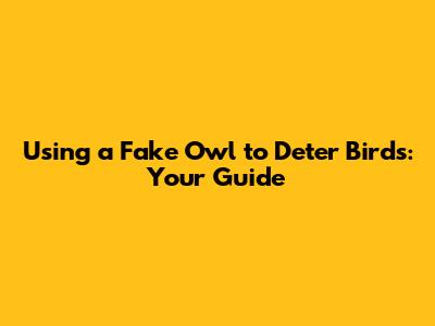 Using a Fake Owl to Deter Birds: Your Guide