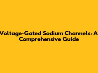Voltage-Gated Sodium Channels: A Comprehensive Guide