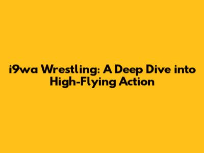 i9wa Wrestling: A Deep Dive into High-Flying Action